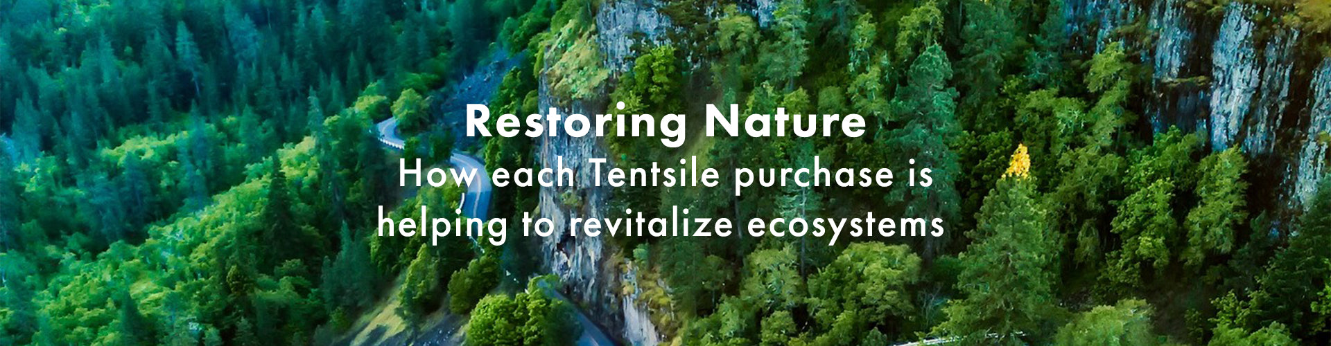 Restoring Nature