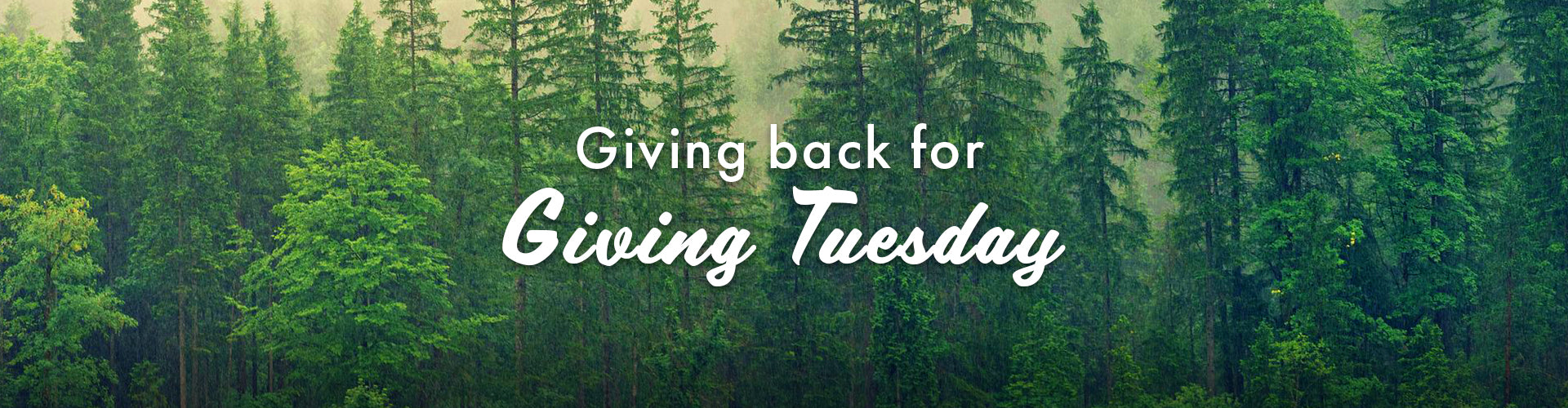 Giving Tuesday 2024