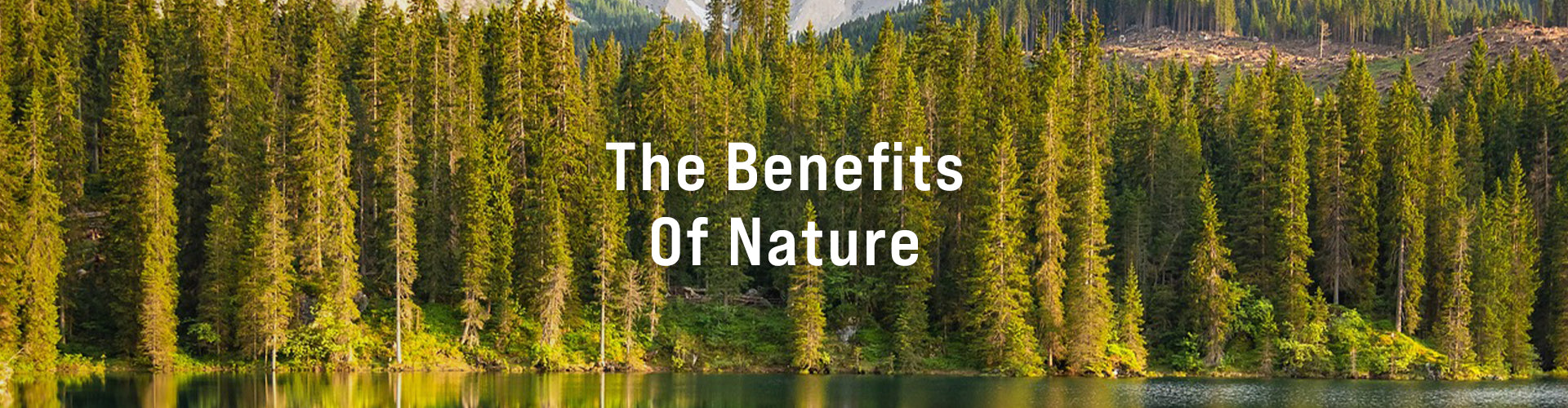 The Benefit Of Nature