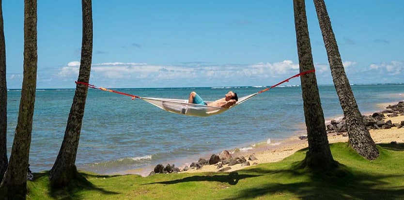 Hammock day clearance